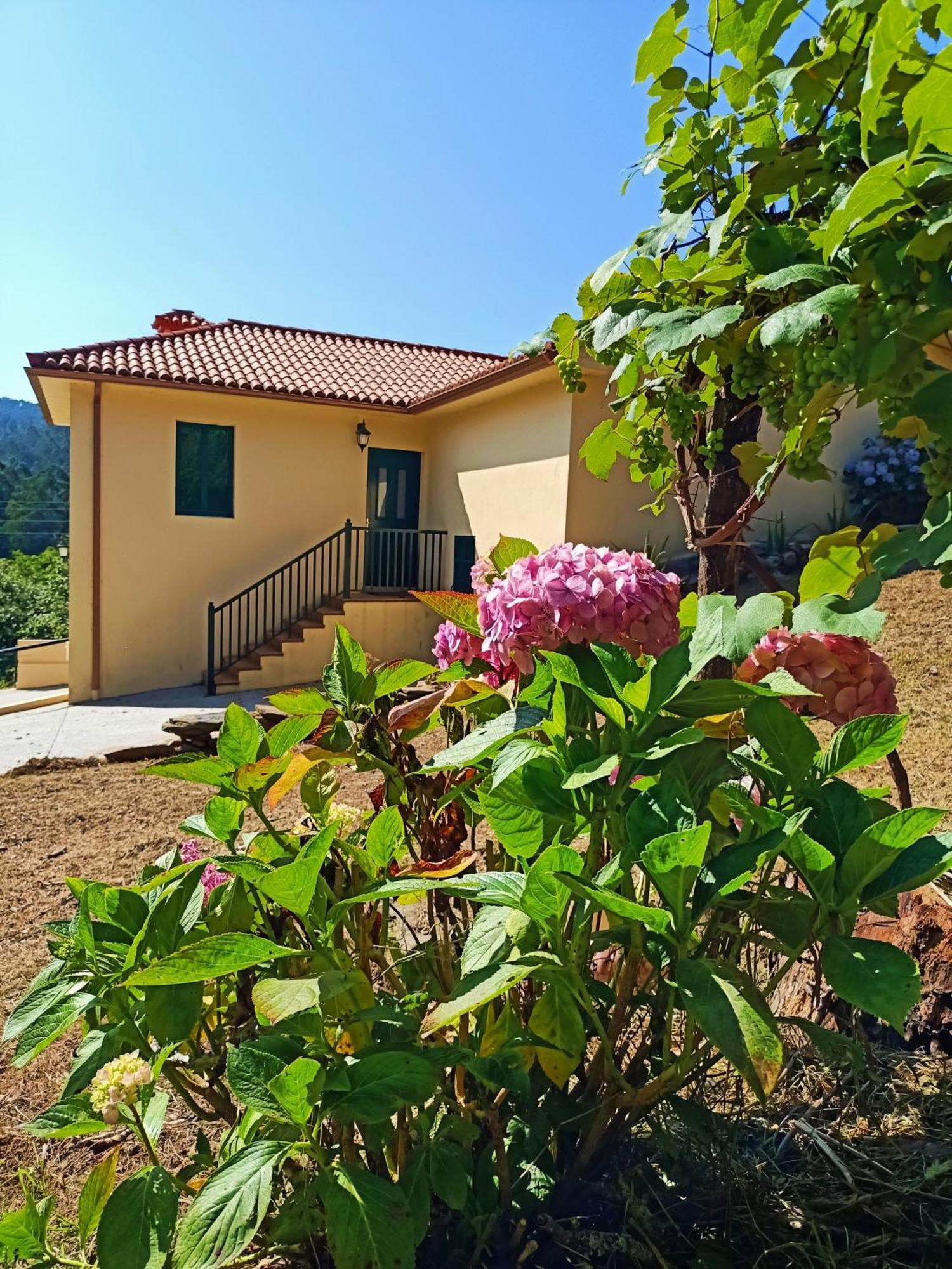A Casa Do Porto Cerca De Cedeira Y De La Playa De Pantin Villa Valdoviño Eksteriør bilde